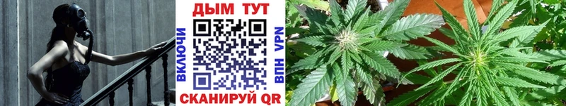Купить наркотики цена Кондопога ГАШ  Амфетамин  COCAIN  СОЛЬ  Меф мяу мяу  Бошки Шишки 