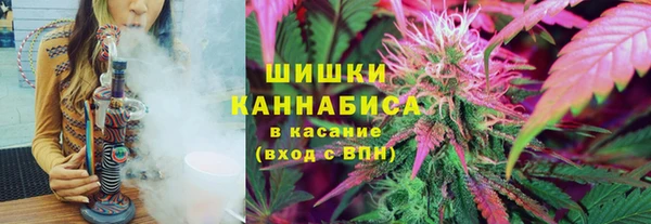 бутират Арсеньев