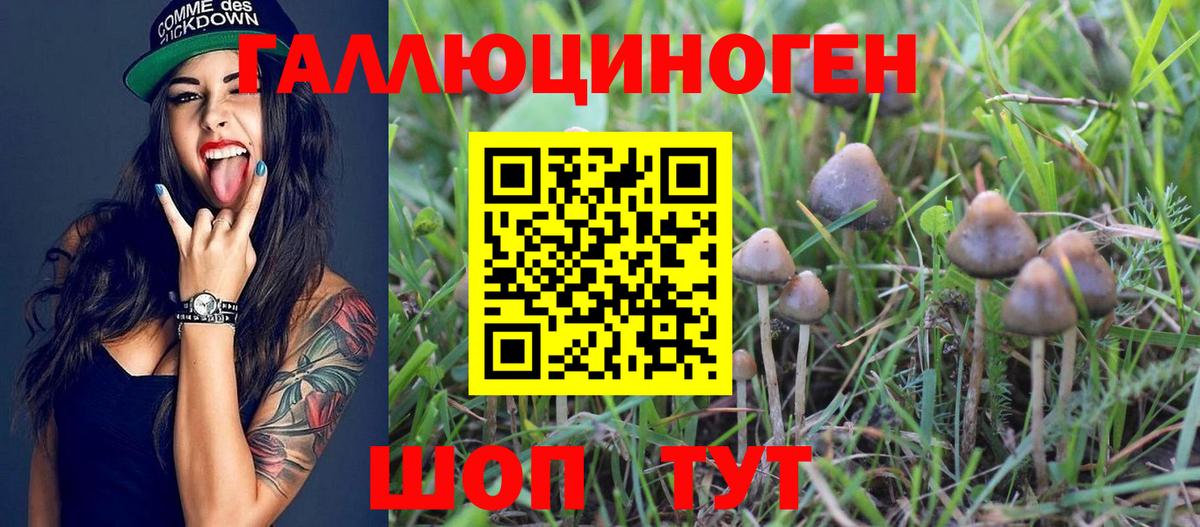 Псилоцибиновые грибы мицелий Кондопога