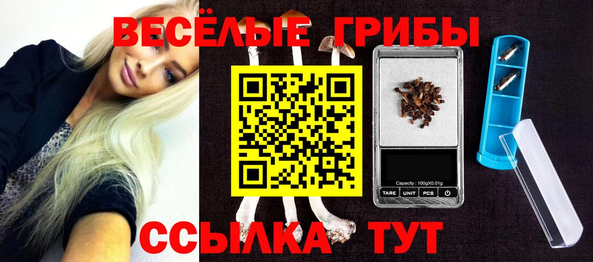 Псилоцибиновые грибы мицелий  Вход с VPN  Кондопога  Псилоцибиновые грибы Cubensis 