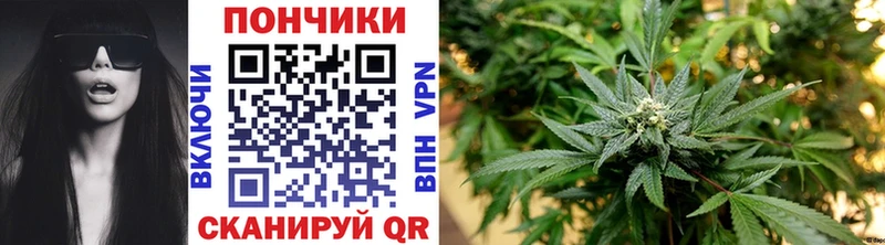 Каннабис Bruce Banner  Кондопога 